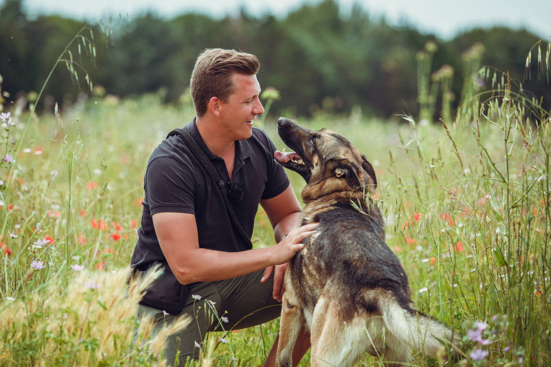 Éducateur canin : combien ça coûte ? Guide des prix et tarifs en 2025