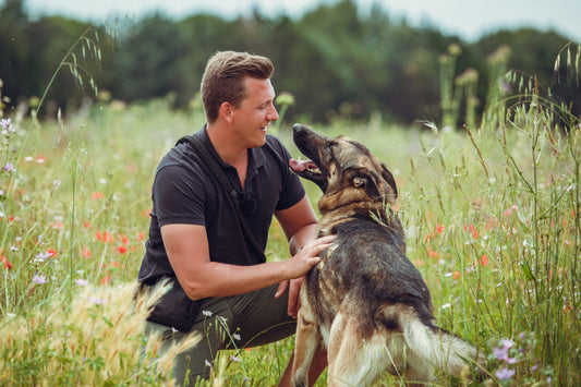 Éducateur canin : combien ça coûte ? Guide des prix et tarifs en 2025
